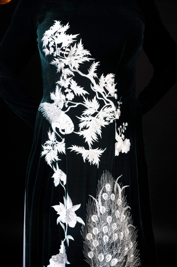 Thiên Tước - Image 3